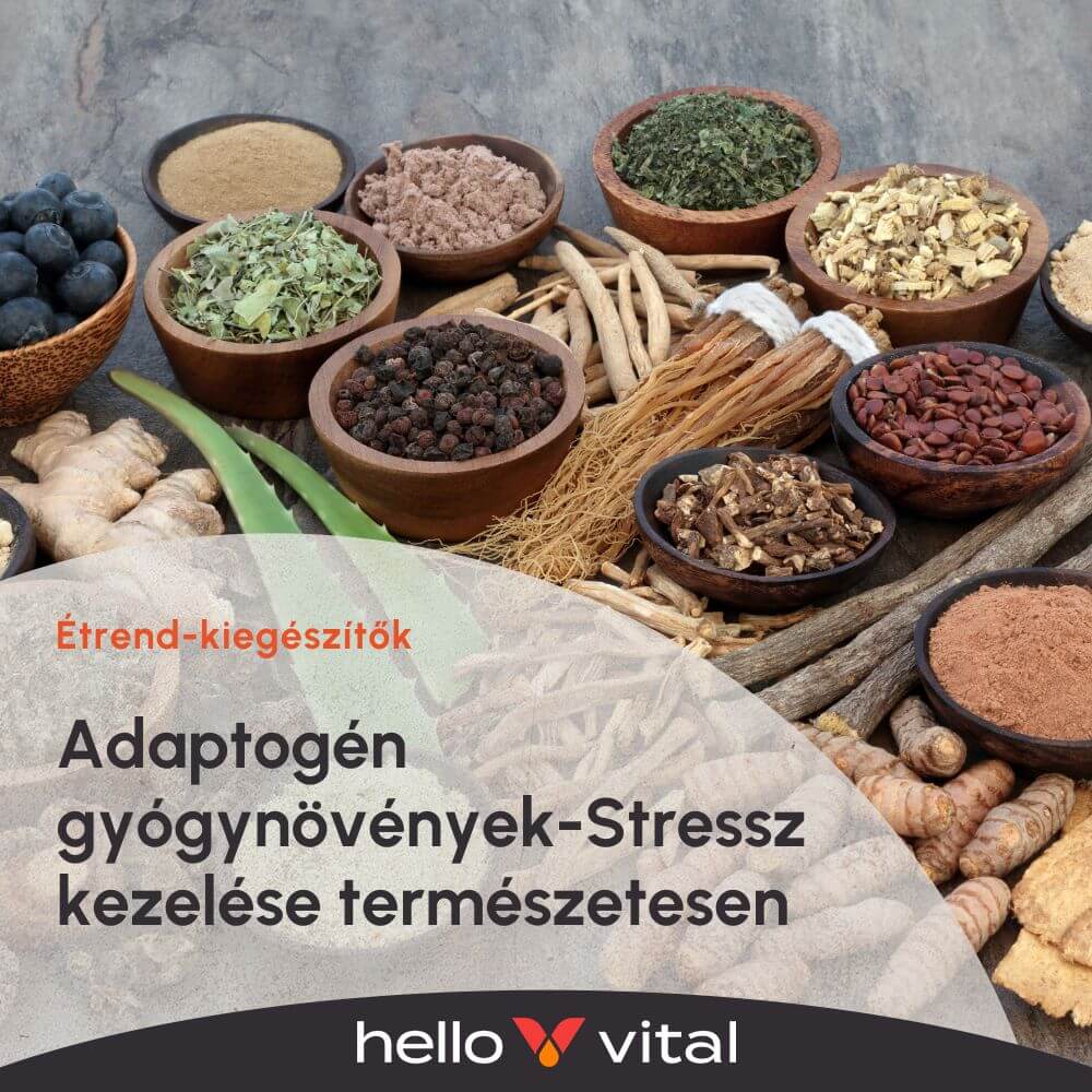 Adaptogén gyógynövények- Stressz kezelése természetesen