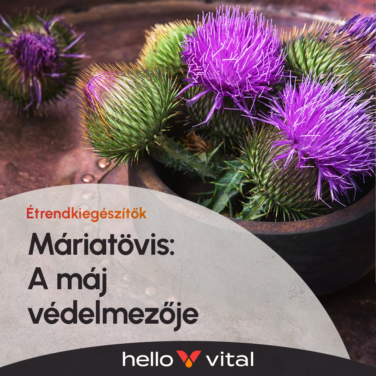 Máriatövis: A máj védelmezője