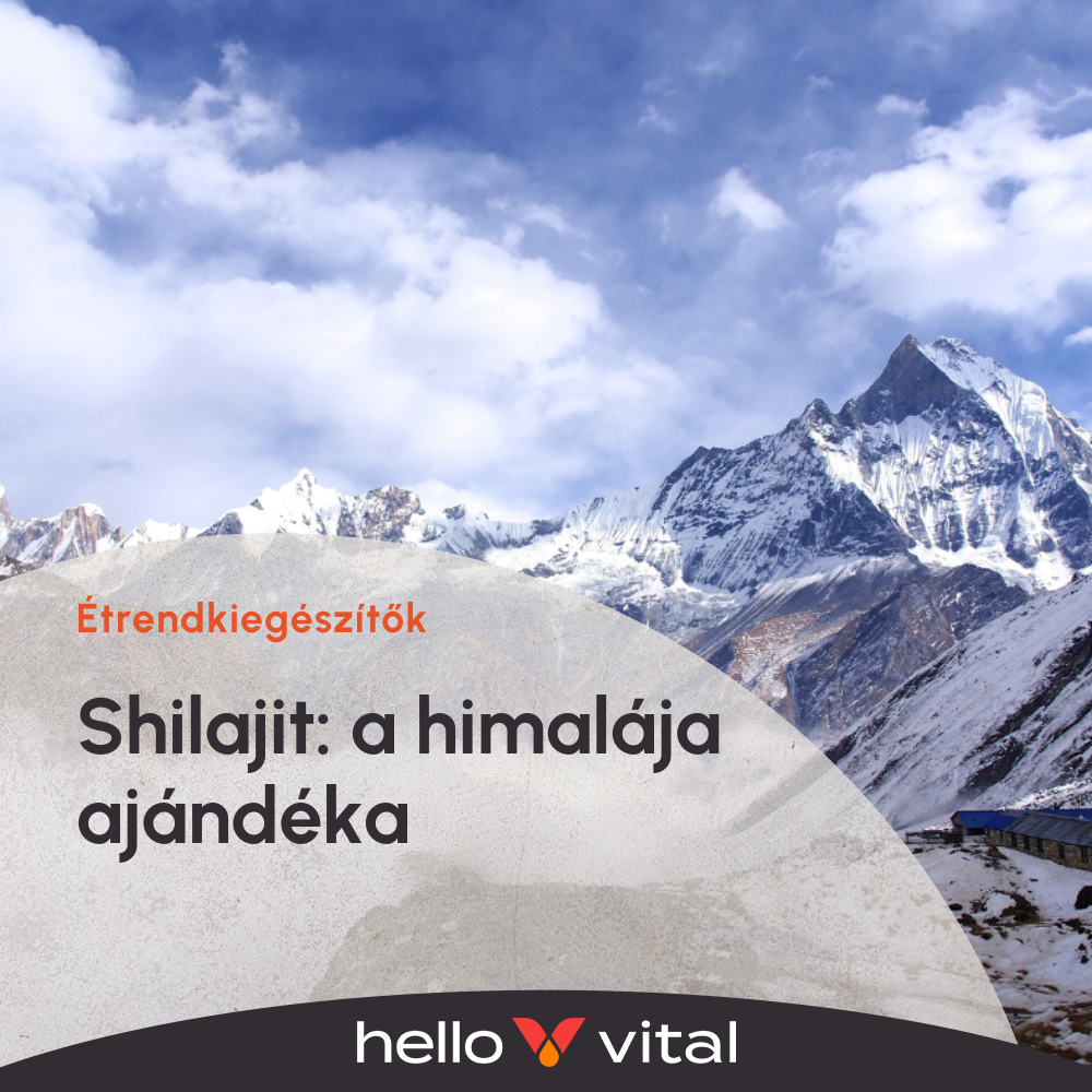 Shilajit: a himalája ajándéka