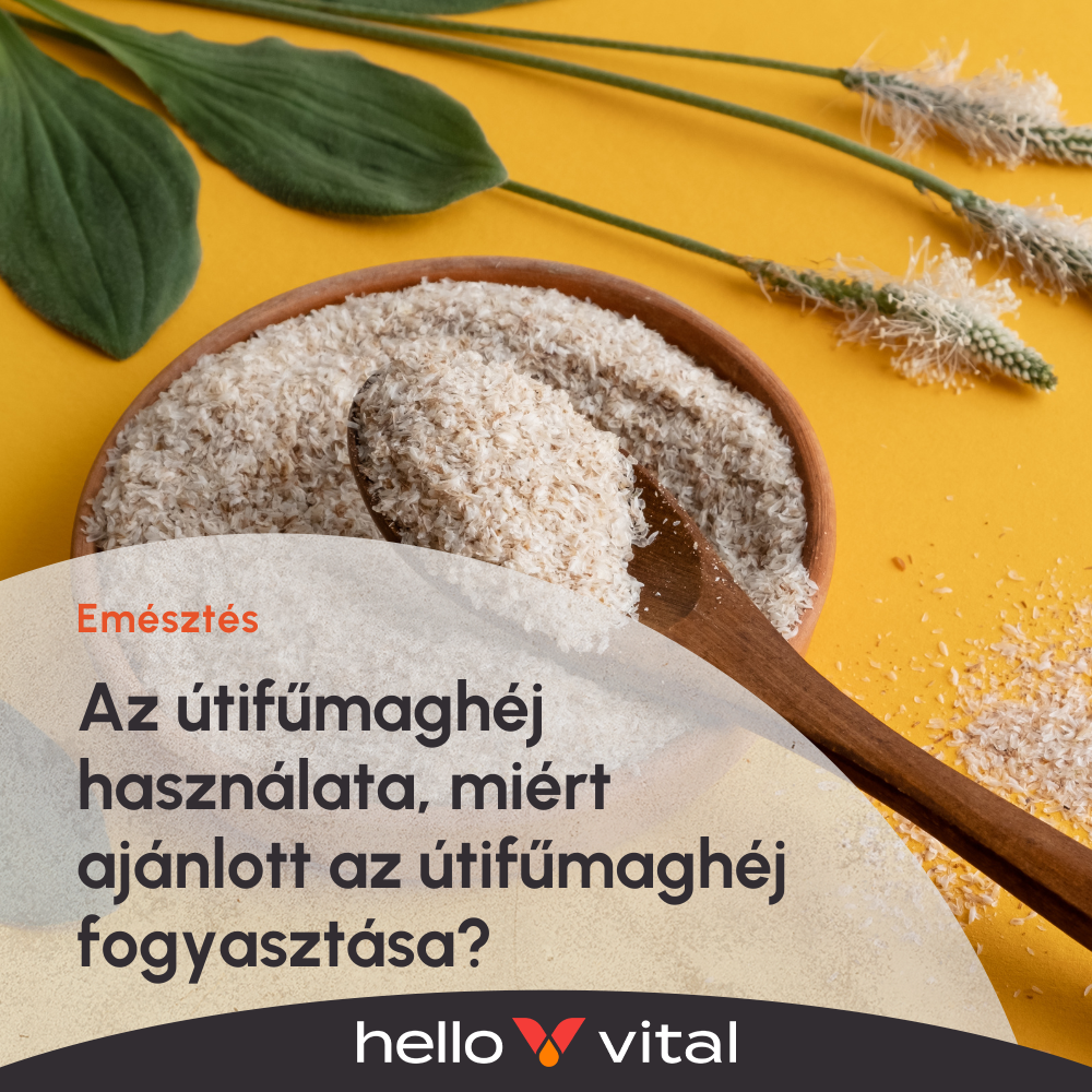 Az útifűmaghéj használata, miért ajánlott az útifűmaghéj fogyasztása?